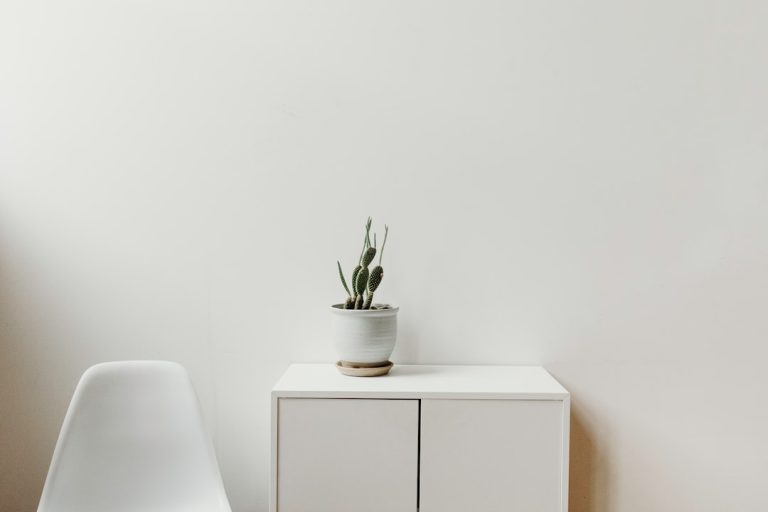 Luxury vs. Affordable: Elevate Your Space with High-End Home Decor Products